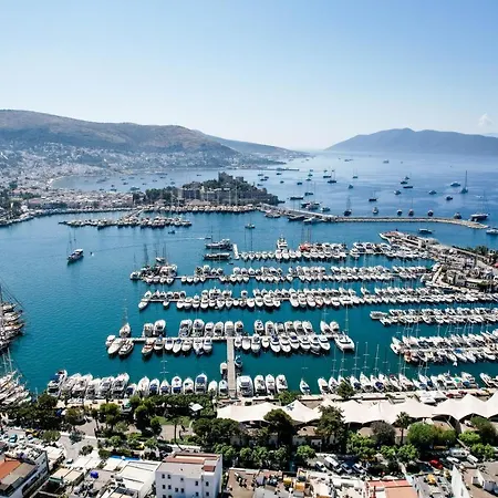 Swan Boutique מלון