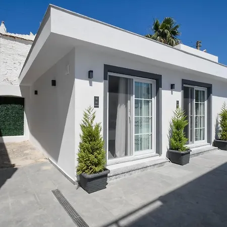 Swan Boutique 호텔 *