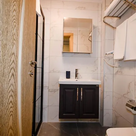 Swan Boutique מלון