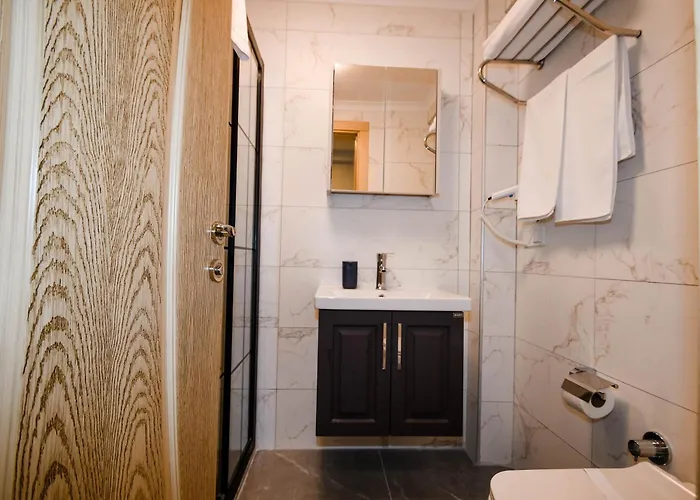 Swan Boutique 호텔